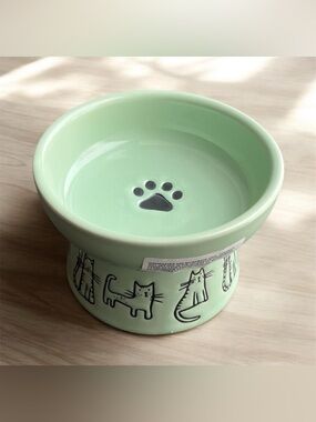 NEW Signature Housewares International Elevated Cat Food Bowl Pet Ceramic Mint